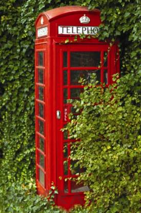 Обои Carl Robinson Edition 4 - CB44000M