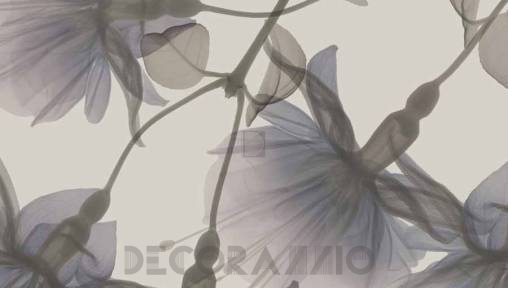 Обои Glamora Visions - GL 1011A