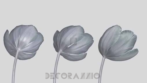 Обои Glamora Visions - GL 4021A