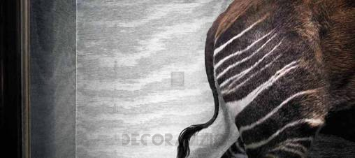 Обои Arte Carapace - 64040