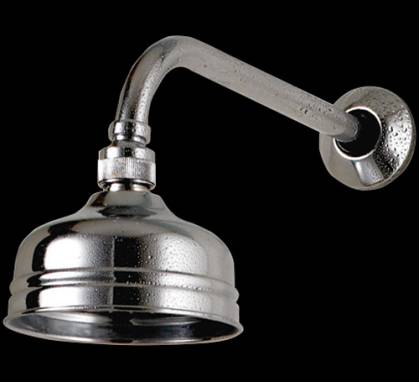 Лейка душевая