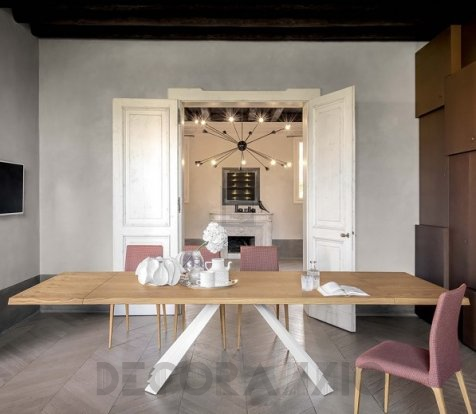 Обеденный стол Tonin Casa Ventaglio - T8011