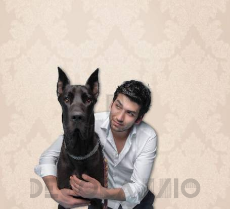 Обои Hohenberger Love - Helpfulness_81003