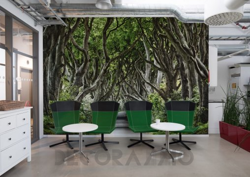 Обои Rebel Walls Nature - Forest - R15251