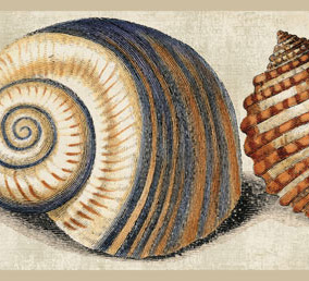 Обои Eijffinger Atlantic - 343046