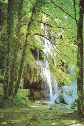 Обои Eijffinger Wallpower Junior - 364134