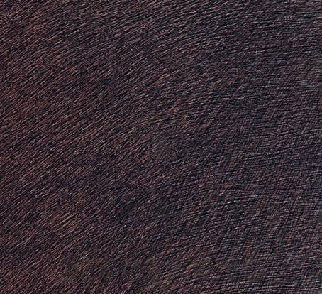 Обои Elitis Indomptee - VP 625 44