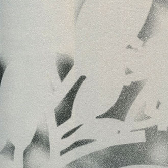 Обои Elitis XXL - TP 124 05