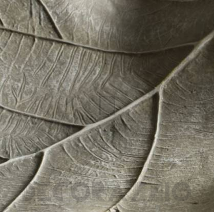 Декор Gallery Birch - 5055999209564